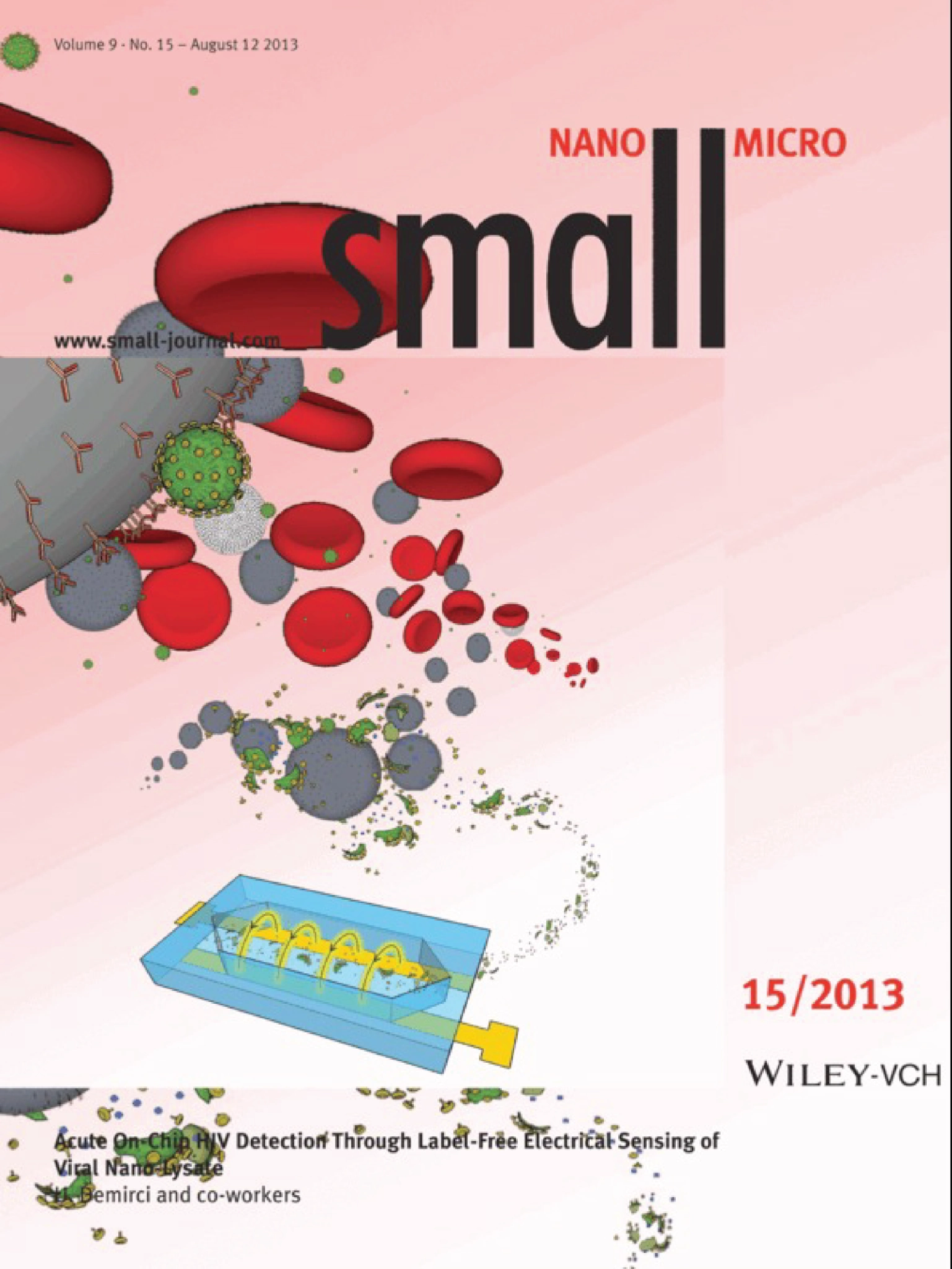 Small · 2013