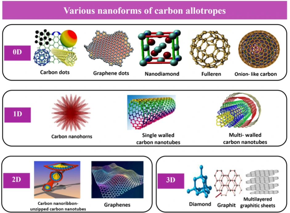 Preview of Perspectives in Nanotoxicity Studies for Carbon-based Nanomaterials in 3D platform