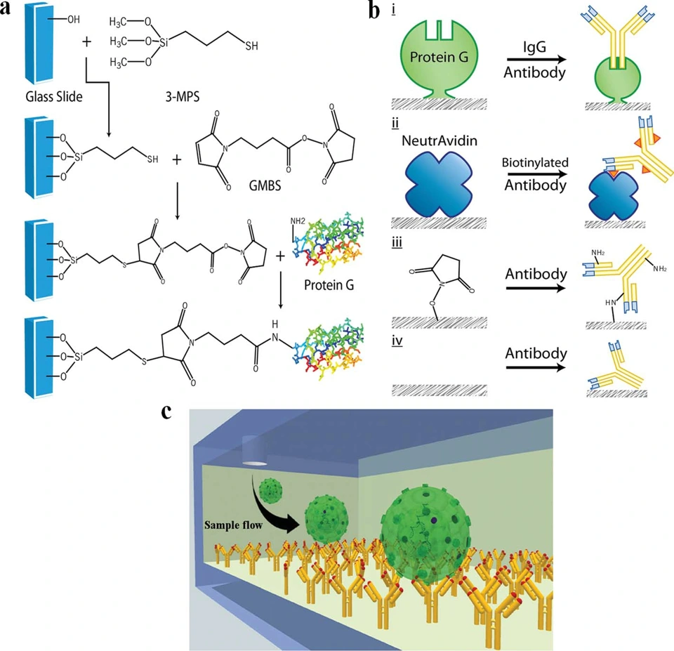 Preview of Efficient on-chip isolation of HIV subtypes