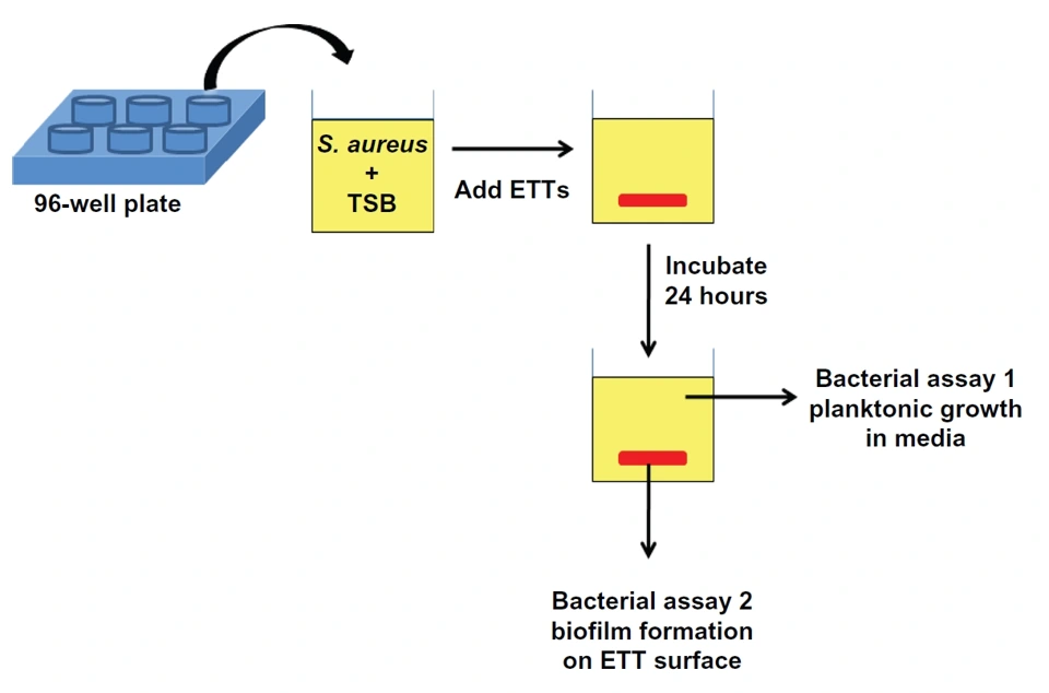 Preview of Fructose-Enhanced Reduction of Bacterial Growth on Nanorough Surfaces