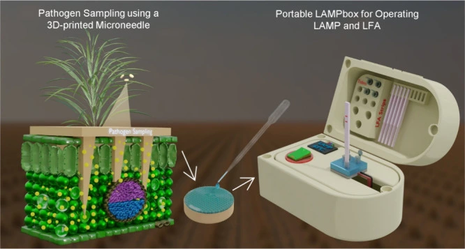 Preview of In-Field Detection of Plant Pathogens Using Three-Dimensional-Printed Microneedles and a Portable Platform