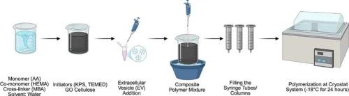 Preview of Graphene oxide-cellulose composite cryogels for extracellular vesicle isolation