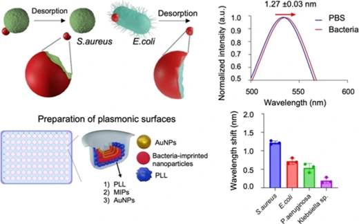 Preview of Unveiling Molecular Fingerprints of Bacteria on Nanoplasmonic Sensors