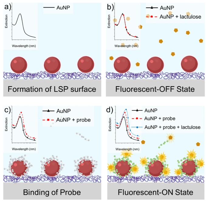 Preview of A Smart Probe for Detection of Sugar Markers for Applications in Gastrointestinal Barrier Dysfunction
