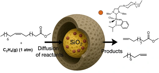 Preview of Ammonium tagged Hoveyda–Grubbs catalyst immobilized on yolk/shell silica gels with a hydrophobic shell for olefin metathesis reactions