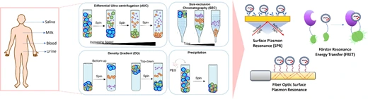 Preview of Shedding Light on Cellular Secrets: A Review of Advanced Optical Biosensing Techniques for Detecting Extracellular Vesicles with a Special Focus on Cancer Diagnosis