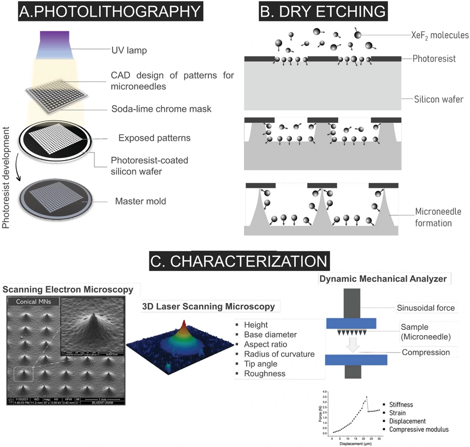 Preview of Xenon Difluoride dry etching for the microfabrication of solid microneedles as a potential strategy in transdermal drug delivery