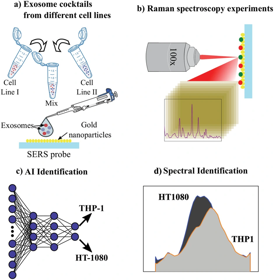 Preview of Label-Free Identification of Exosomes using Raman Spectroscopy and Machine Learning