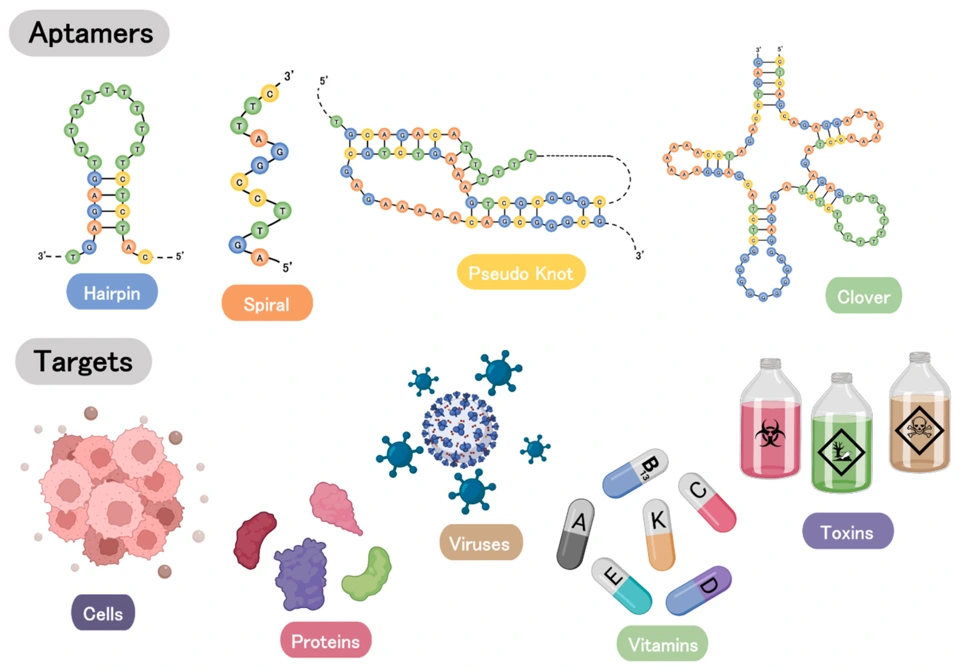 Preview of Aptamer-Based Point-of-Care Devices: Emerging Technologies and Integration of Computational Methods