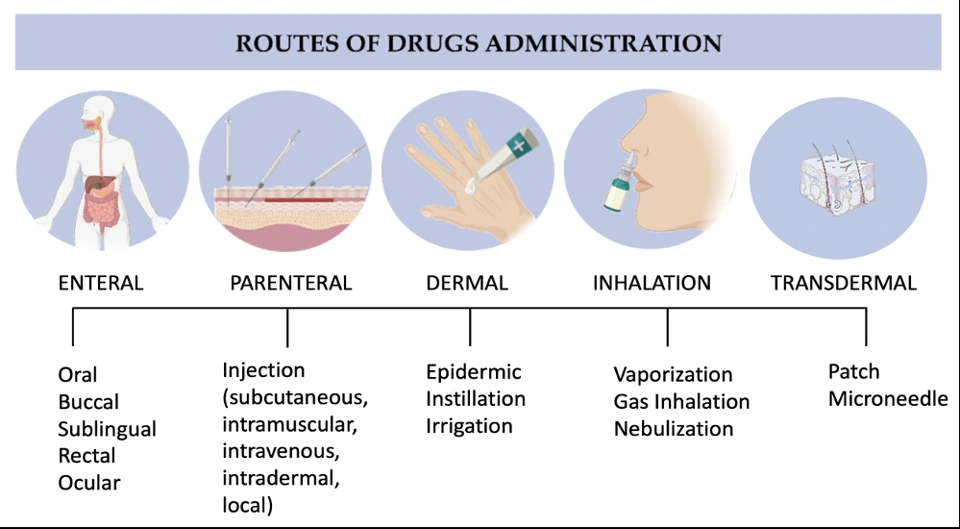 Preview of A Sustainable Solution to Skin Diseases: Ecofriendly Transdermal Patches