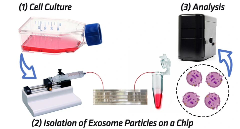 Preview of Benchmarking a Microfluidic-Based Filtration for Isolating Biological Particles