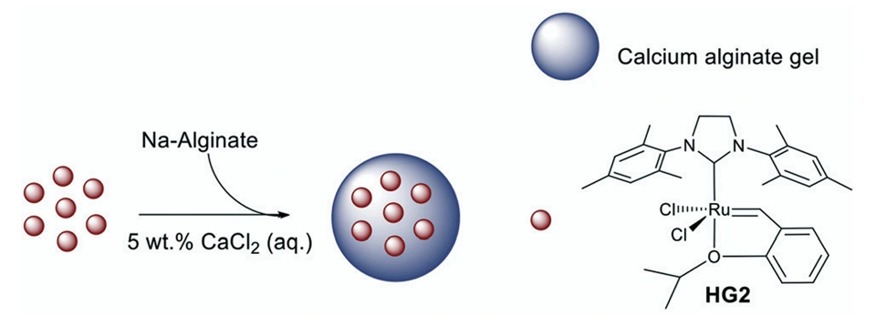 Preview of Encapsulation Of The Hoveyda-Grubbs 2nd Generation Catalyst In Magnetically Separable Alginate/Mesoporous Carbon Beads For Olefin Metathesis Reactions In Water