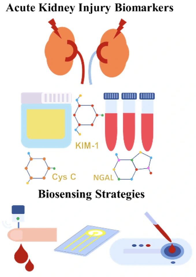 Preview of Advances in Biosensor Technologies for Acute Kidney Injury