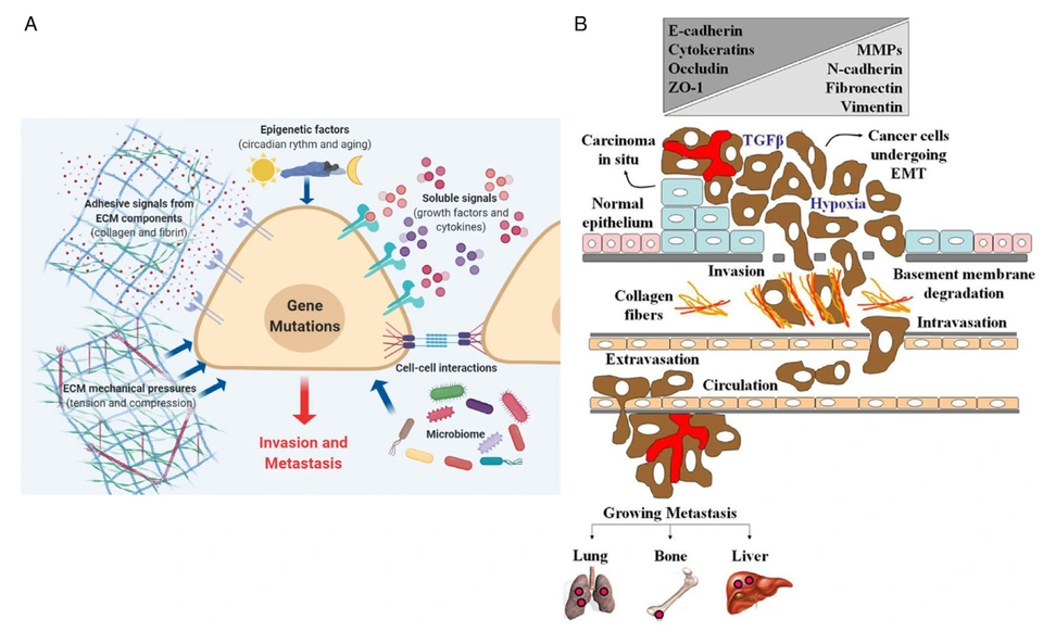 Preview of Smart Material-Integrated Systems for Isolation and Profiling of Rare Cancer Cells and Emboli