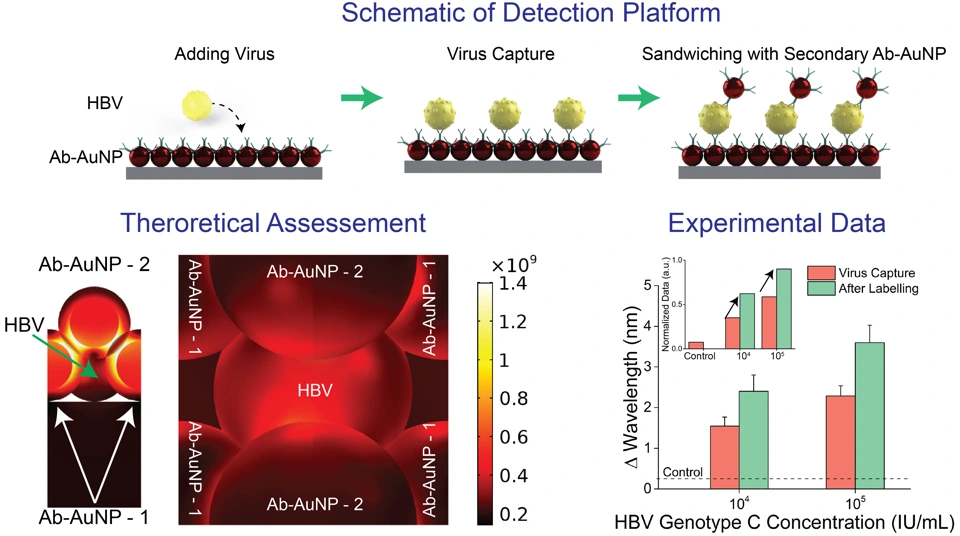 Preview of Enhancing the Nanoplasmonic Signal by a Nanoparticle Sandwiching Strategy to Detect Viruses