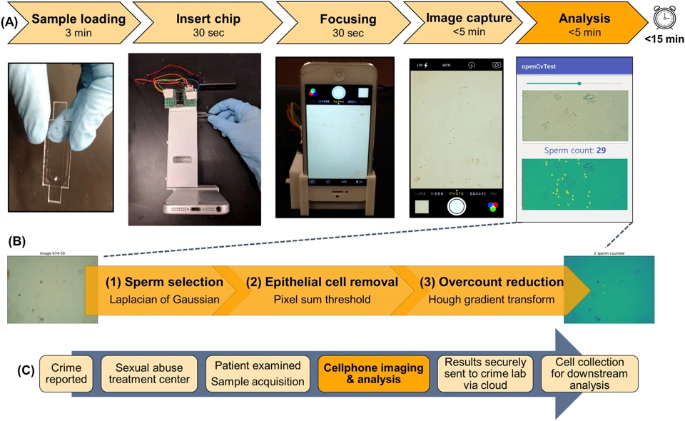 Preview of A Confirmatory Test for Sperm in Sexual Assault Samples using a Microfluidic-Integrated Cell Phone Imaging System