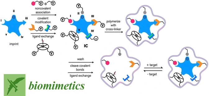 Preview of Advances in Biomimetic Systems for Molecular Recognition and Biosensing