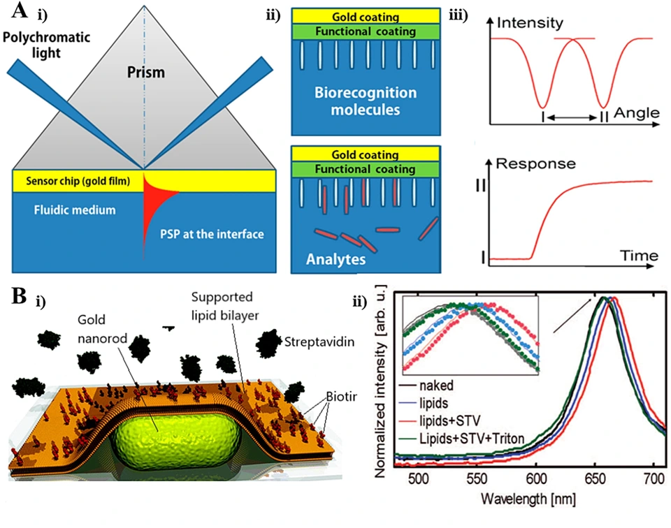 Preview of Plasmonic-based Platforms for Diagnosis of Infectious Diseases at the Point-of-Care