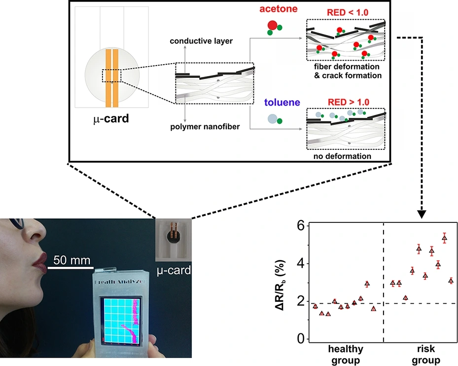 Preview of Hand-held Volatilome Analyzer Based on Elastically Deformable Nanofibers