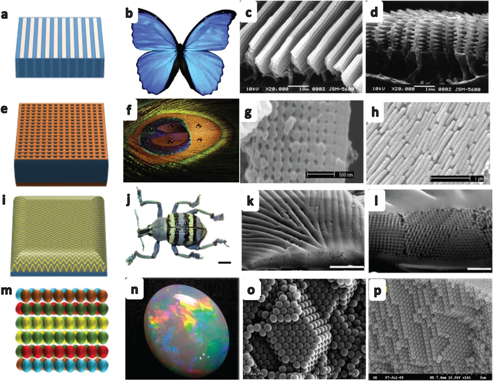 Preview of Photonic crystals: emerging biosensors and their promise for point-of-care applications