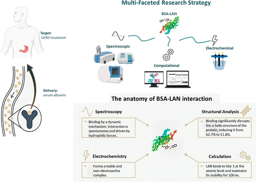 Preview of Multianalytical and Theoretical Tendency for the Clarification of the Binding of Lansoprazole and Albumin Protein