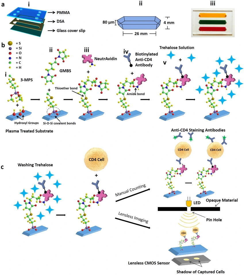 Preview of Engineering long shelf life multilayer biologically active surfaces on microfluidic devices for point of care applications