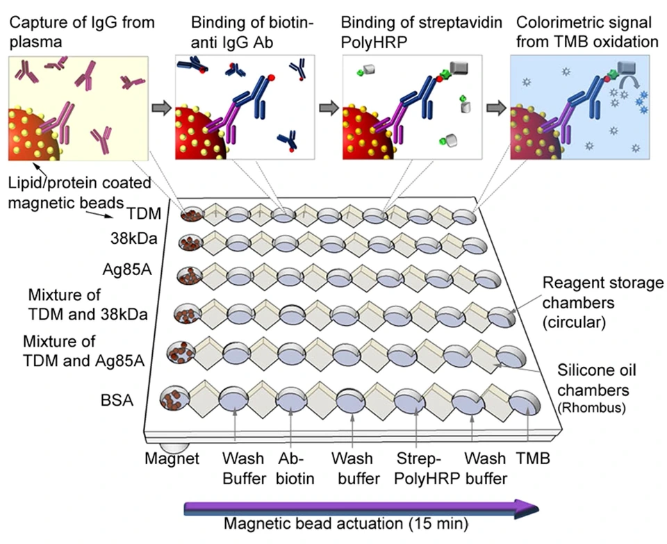 Preview of Microchip-based ultrafast serodiagnostic assay for tuberculosis
