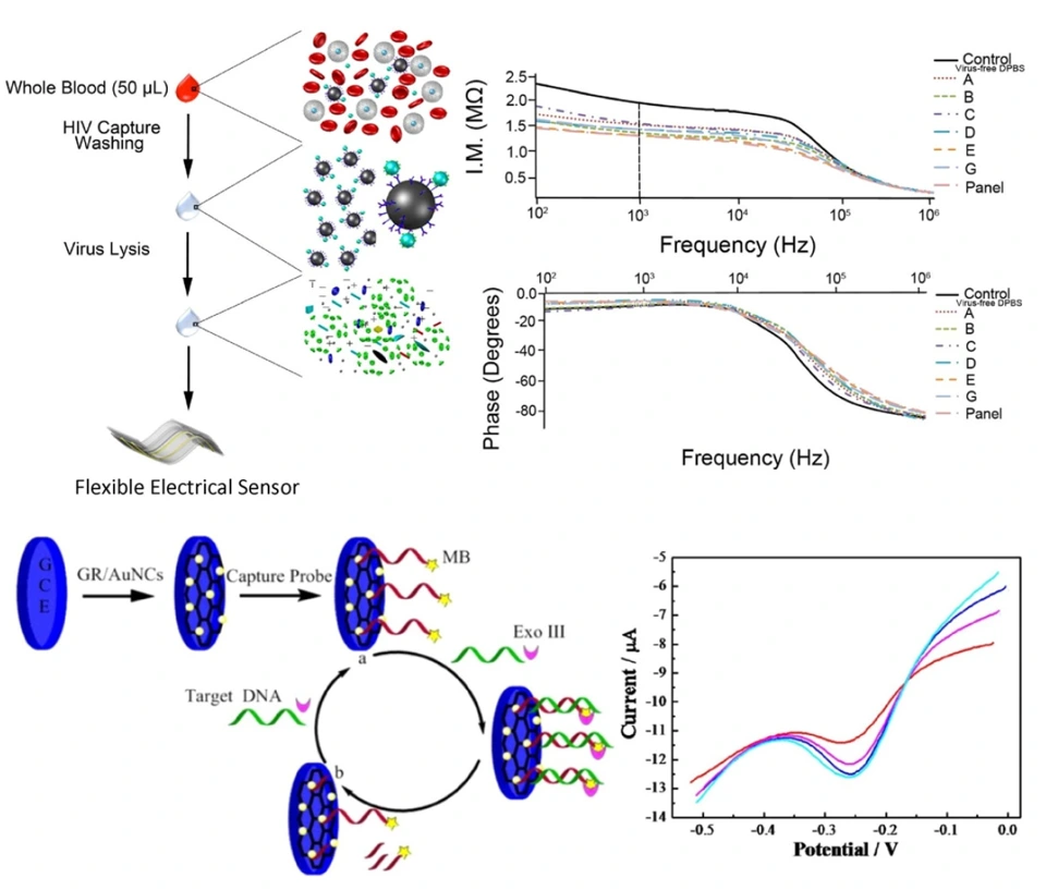 Preview of Advances in biosensing strategies for HIV detection, diagnosis, and therapeutic monitoring