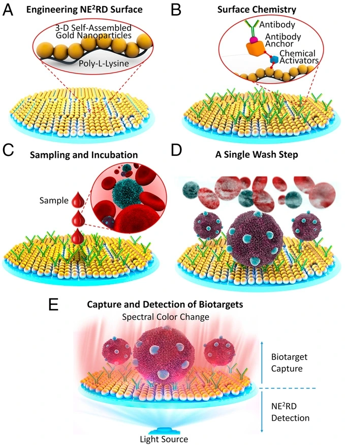 Preview of Multitarget, quantitative nanoplasmonic electrical field-enhanced resonating device (NE2RD) for diagnostics