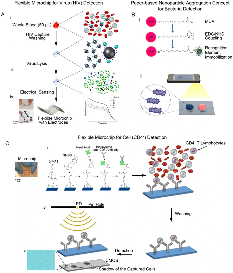 Preview of Paper and flexible substrates as materials for biosensing platforms to detect multiple biotargets
