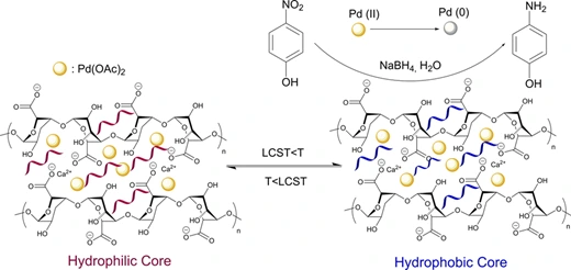 Preview of Palladium/Alginate/Poly(NIPAM) Beads with Thermally Tunable Hydrophobic–Hydrophilic Domains for Nitroarene Reduction Reactions in Aqueous Media