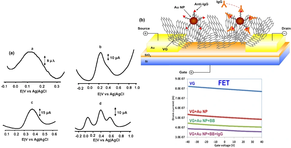 Preview of Graphene–protein field effect biosensors: glucose sensing