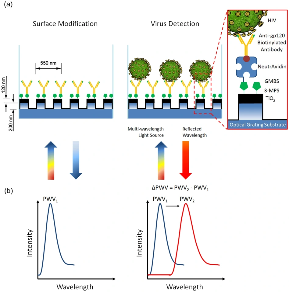 Preview of Nanostructured optical photonic crystal biosensor for HIV viral load measurement