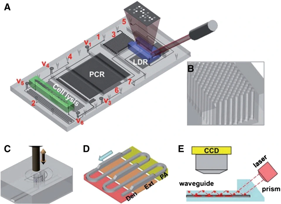 Preview of Emerging technologies for monitoring drug-resistant tuberculosis at the point-of-care