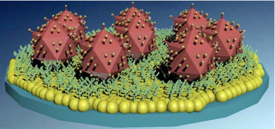 Preview of Nanoplasmonic Biosensing Platform for Multiple Pathogen Detection