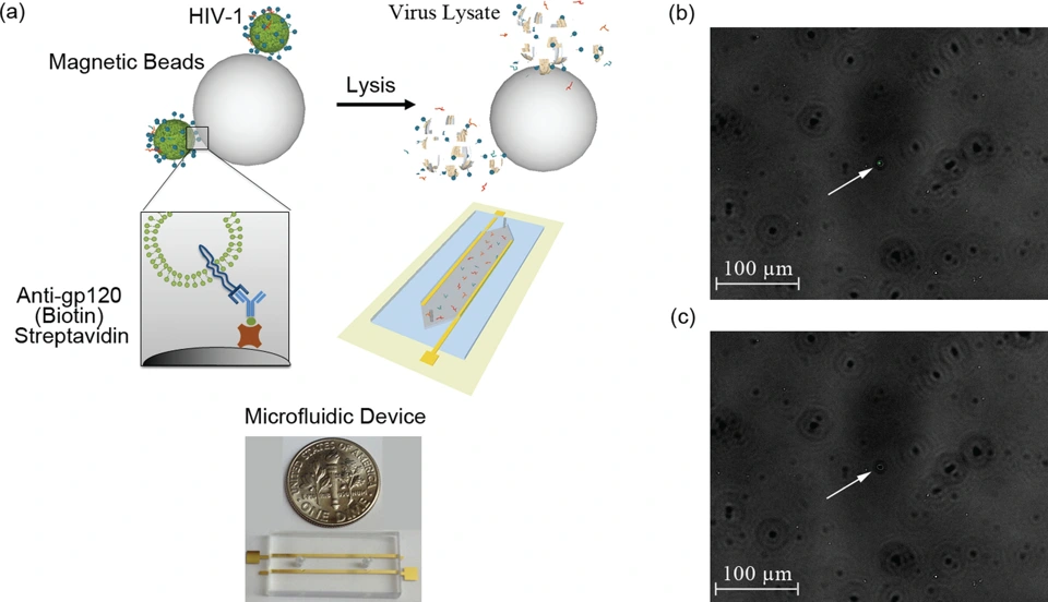 Preview of Acute On-Chip HIV Detection through label-free electrical sensing of viral nano-lysate on-chip