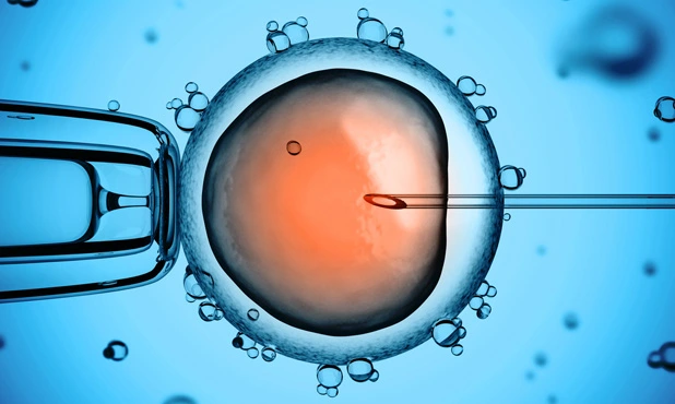 Preview of Assisted Reproductive Microchip Technologies to Improve Infertility